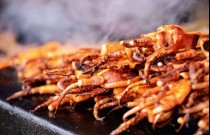 賣魷魚一個(gè)月掙多少錢？學(xué)會(huì)技巧，收入可期！
