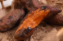 哪里可以學(xué)烤地瓜？教你掌握地?cái)偙蠲胤?，做出香甜流油的地瓜?>
                        </a>
                        <div   id=