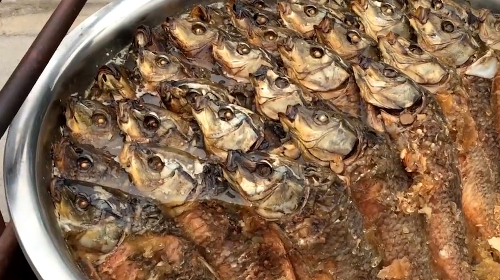 糟魚的正宗做法有哪些？腌制火候和技巧把握才是關(guān)鍵